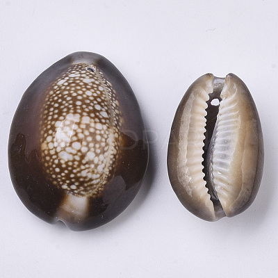 Natural Cowrie Shell Pendants SSHEL-N034-24-1