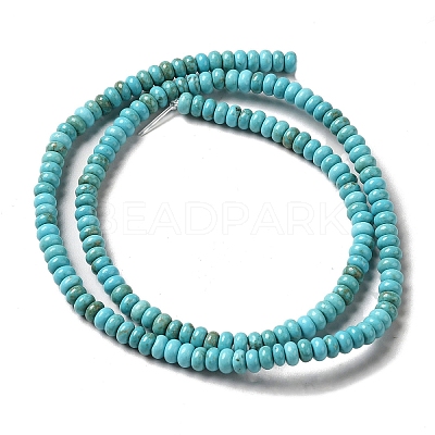 Natural Howlite Beads Strands G-C025-09C-1