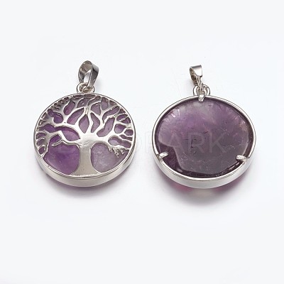 Natural Amethyst Pendants G-E449-C07-1