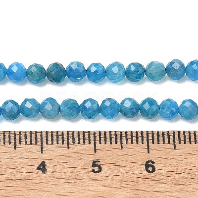 Natural Apatite Beads Strands G-Z160-A01-4mm-1