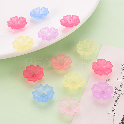 Transparent Frosted Acrylic Bead Caps MACR-S371-04A-1