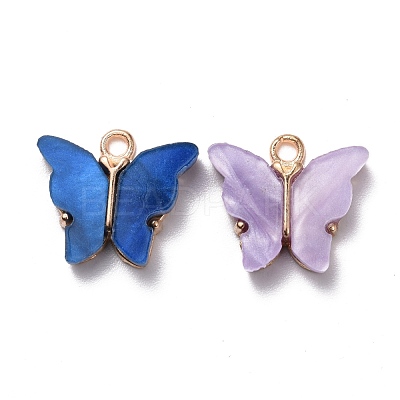 Alloy Acrylic Pendants ENAM-R136-01-1