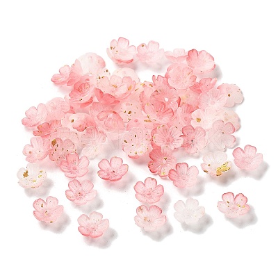 Acrylic Bead Caps OACR-Z028-03C-1