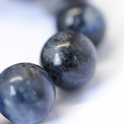 Natural Sodalite Round Bead Strands G-E334-8mm-16-1
