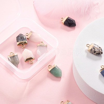 10Pcs 10 Style Natural Gemstone Pointed Pendants G-LS0002-04-1