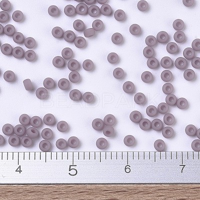 MIYUKI Round Rocailles Beads X-SEED-G007-RR0410F-1