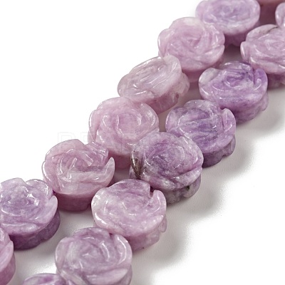 Natural Phosphosiderite Beads Strands G-D475-01M-1