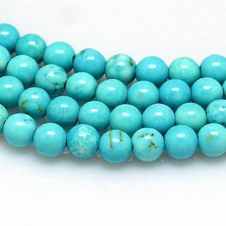 Natural Magnesite Beads Strands TURQ-P027-69-4mm-1