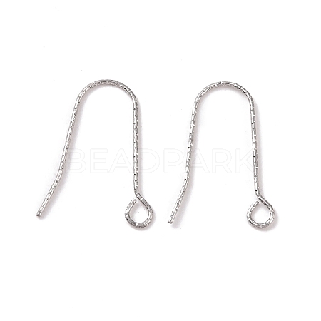 Tarnish Resistant 316 Stainless Steel Earring Hooks X-STAS-C059-10P-1