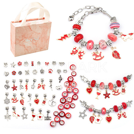 DIY European Bracelet Making Kits DIY-YWC0006-02D-1