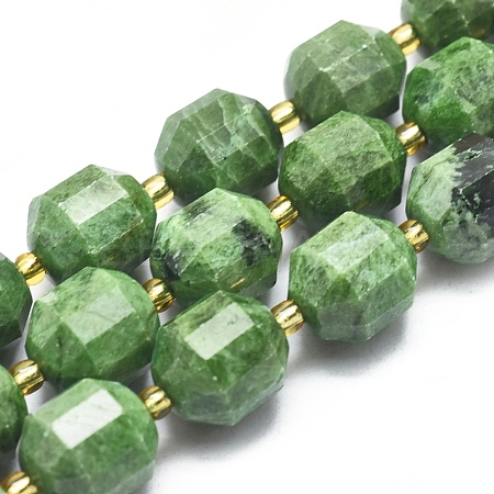 Natural Diopside Beads Strands G-K303-A10-12mm-1