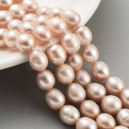 Natural Cultured Freshwater Pearl Beads Strands PEAR-P062-13D-1