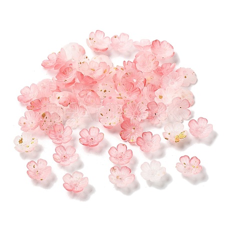 Acrylic Bead Caps OACR-Z028-03C-1