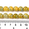 Dyed Natural White Jade Beads Strands G-T138-10mm-210-26-5
