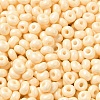 Baking Paint Glass Seed Beads X1-SEED-B001-02A-09-3