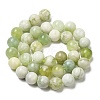 Natural New Jade Beads Strands G-K340-A01-03-3