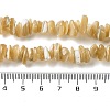 Natural Trochus Shell Beads Strands SHEL-G020-01-4