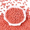 Opaque Colours Glass Seed Beads SEED-T007-16C-1