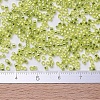 MIYUKI Delica Beads Small X-SEED-J020-DBS0147-4