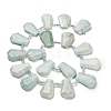 Natural Amazonite Beads Strands G-H078-A06-01-2