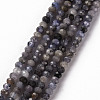 Natural Tanzanite Beads Strands G-S362-101-1