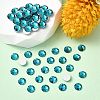 Preciosa® MAXIMA Crystal No Hotfix Flatback Stones Y-PRC-NSS16-60230-2