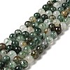Natural Fuchsite Beads Strands G-K285-40A-1-1