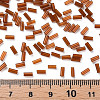 Transparent Glass Bugle Beads SEED-N005-001-C01-4