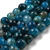 Faceted Natural Dragon Veins Agate Beads Strands X-G-F447-12mm-P05-2