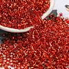 Glass Seed Beads X1-SEED-S042-04A-10-1