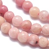 Natural Rhodonite Beads Strands G-A177-04-16-3