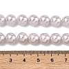 Electroplated Shell Pearl Beads Strands BSHE-G041-8mm-06-2