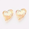 K9 Glass Rhinestone Pendants GLAA-F083-01B-04-1