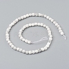 Natural Howlite Beads Strands G-I270-09-2