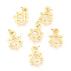 Alloy Charms PALLOY-B024-17G-1