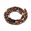 Natural Picasso Jasper/Polychrome Jasper Beads Strands G-N346-01A-05-3