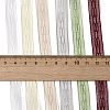 Polyester and Nylon Ribbon Sets DIY-Z029-01T-4