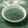 MIYUKI Round Rocailles Beads SEED-JP0010-RR0374-4