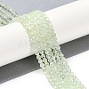 Natural Prehnite Beads Strands G-G139-A05-03-2