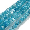Natural White Shell Dyed Beads Strands BSHE-Z005-03B-1