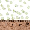 FGB Baking Paint Glass Seed Beads SEED-Q040-09A-10-4