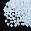 6/0 Two Cut Glass Seed Beads SEED-S033-08B-02-2