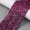 Natural Ruby Beads Strands G-F785-A02-02-1