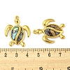 Natural Paua Shell Pendants X-STAS-P341-02G-01-3