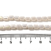 Electroplate Glass Beads Strands EGLA-D031-01J-4