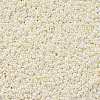 11/0 FGB Grade A Ceylon Glass Seed Beads X-SEED-N001-B-0482-2