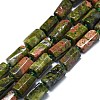 Natural Unakite Beads Strands G-O170-135-1