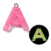 Luminous Resin Pendants X1-RESI-I059-A01-1