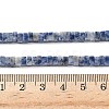 Natural Blue Spot Jasper Beads Strands G-I394-A08-5