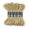 10 Skeins 12-Ply Metallic Polyester Embroidery Floss OCOR-Q057-A14-1
